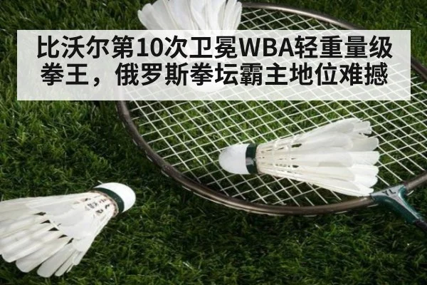 比沃尔第10次卫冕WBA轻重量级拳王，俄罗斯拳坛霸主地位难撼